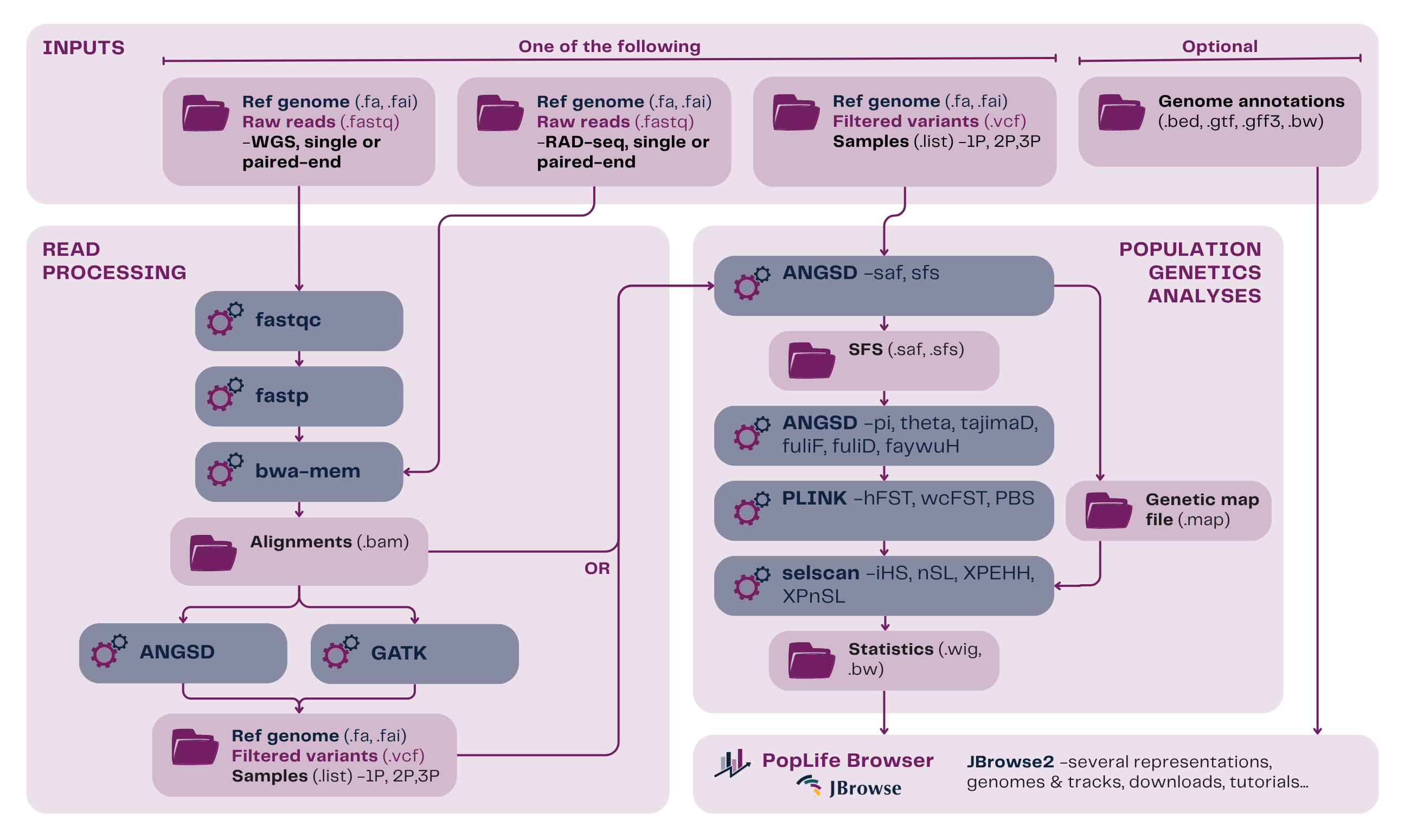 Overview of the PopLife analysis workflow