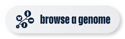 Browse a genome